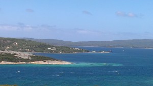 The View From Albany