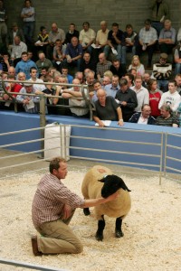 Richard Wilson pictured with the overall champion owned at the 2007 Suffolk Sheep Society (South of Ireland Branch) Premier Show and Sale at Roscrea. Photo: Alf Harvey. 