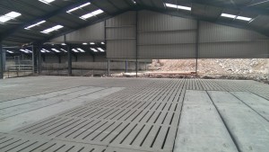 Substantial grants are available from the TAMS scheme for farms buildings such as slatted houses.