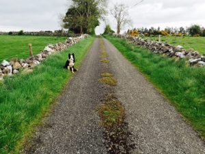 country-road